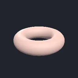 Recorded render of Torus with wrapped texture coordinates